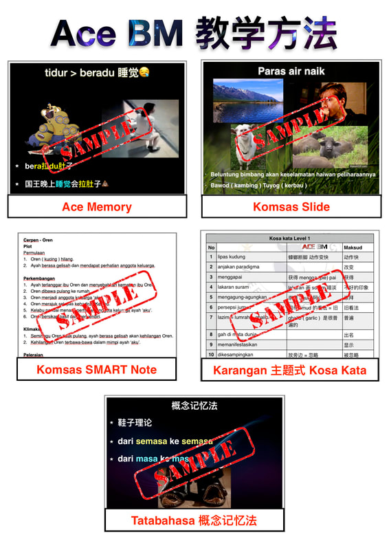 ace tuition centre subang jaya usj 9 mr jeff profile