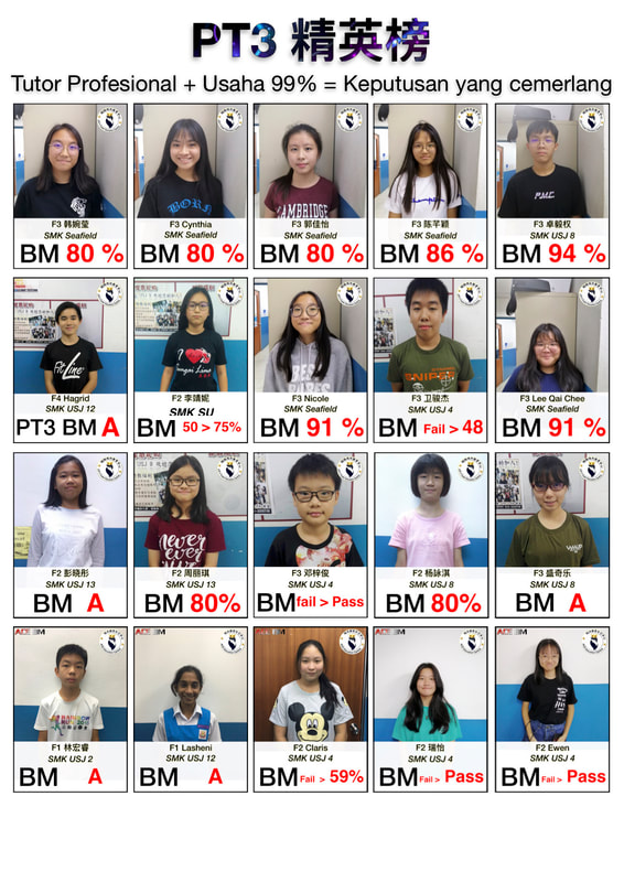 ace tuition centre subang jaya usj 9 mr jeff profile