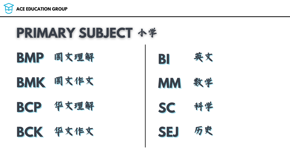 Ace Tuition Centre Subang Jaya Courses